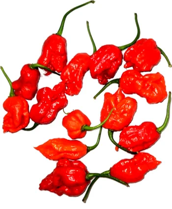 our fresh reaper peppers